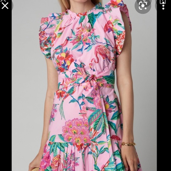 Banjanan BulBul Pink Floral Mini Dress with Ruffle Sleeve Detail and Tie Waist - Picture 2 of 9